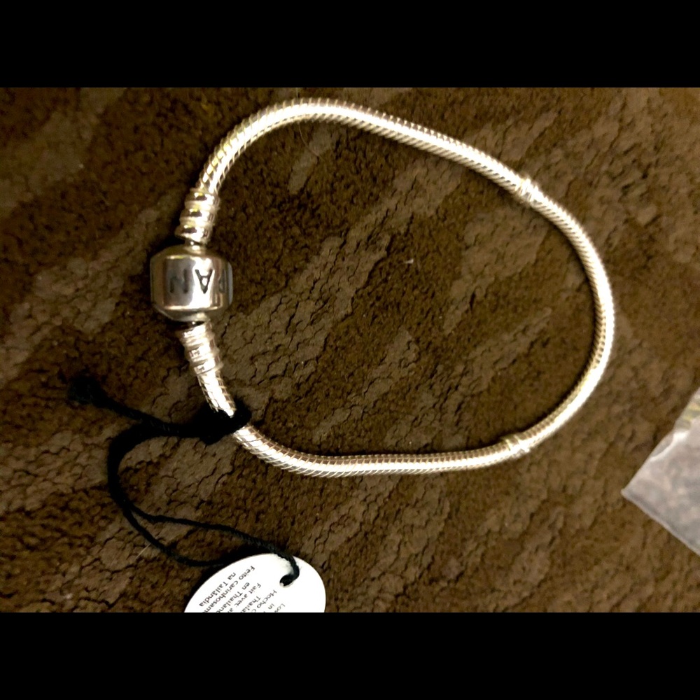 Pandora bracelet